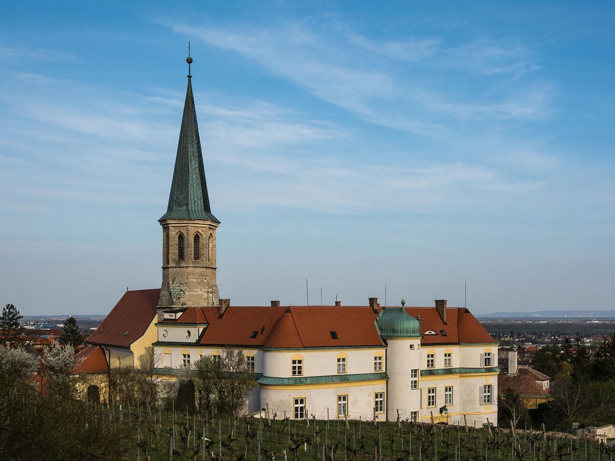 Отель Schloss Гумпольдскирхен Экстерьер фото